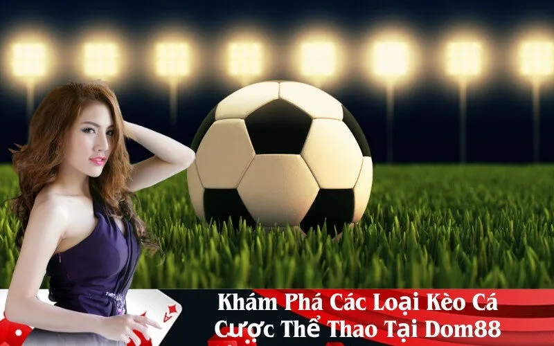 Khám Phá Các Loại Kèo Cá Cược Thể Thao Tại Dom88