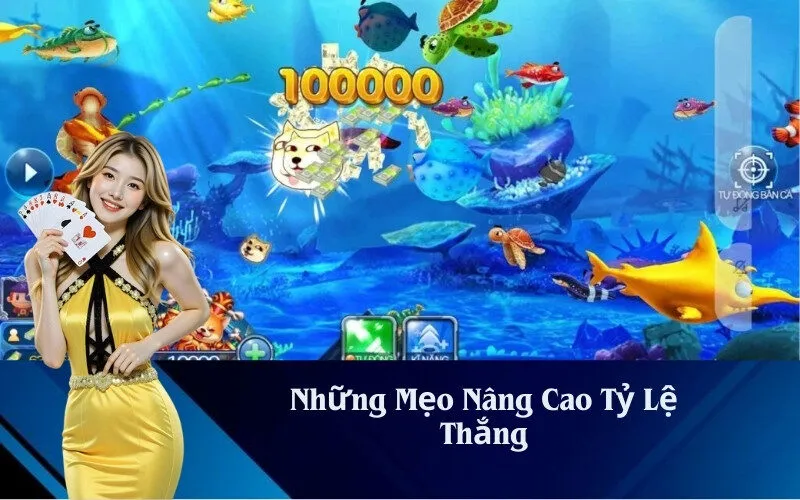 Những Mẹo Nâng Cao Tỷ Lệ Thắng