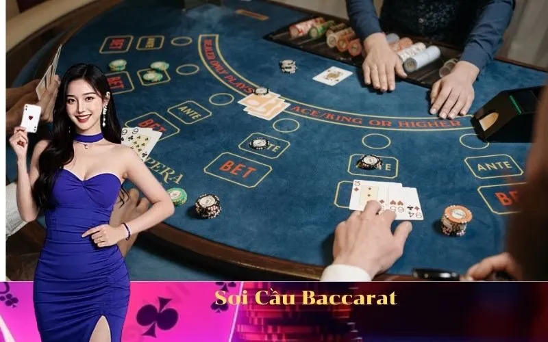 Soi Cầu Baccarat 