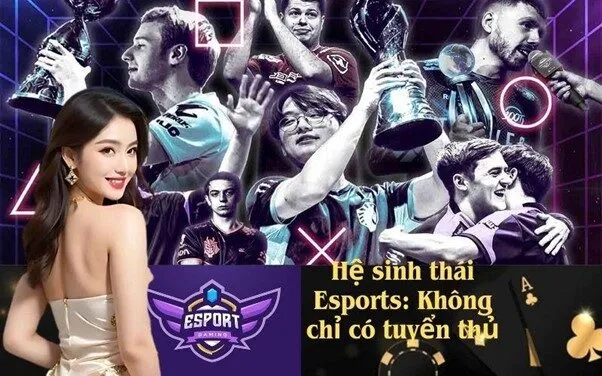 Hệ sinh thái Esports: Không chỉ có tuyển thủ