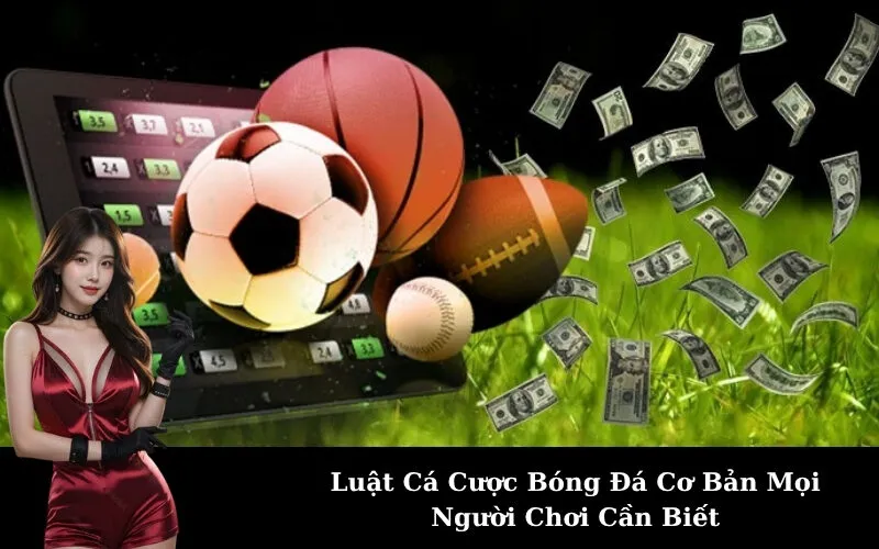 Luật Cá Cược Bóng Đá Cơ Bản Mọi Người Chơi Cần Biết