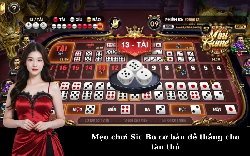 Mẹo chơi Sic Bo cơ bản dễ thắng cho tân thủ