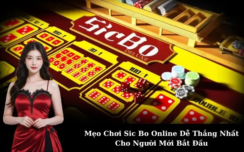 Mẹo Chơi Sic Bo Online Dễ Thắng Nhất Cho Người Mới Bắt Đầu