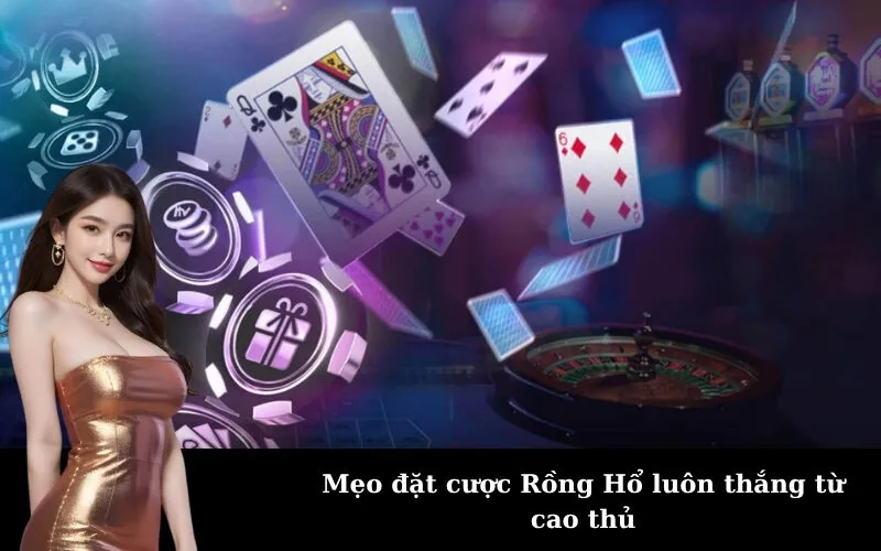 Mẹo đặt cược Rồng Hổ luôn thắng từ cao thủ