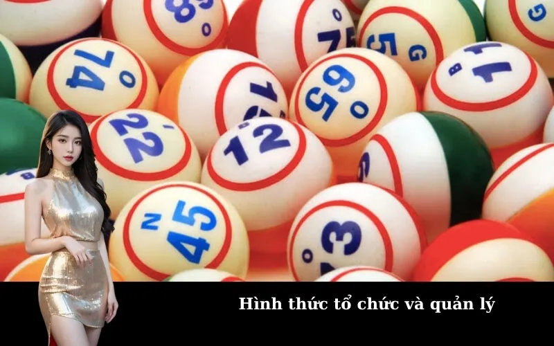 Hình thức tổ chức và quản lý